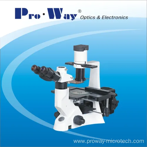 Professional Inverted Fluorescent Microscope